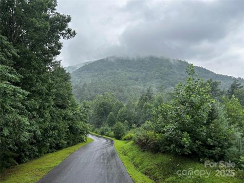 241(LOT 58) Peppervine Circle Rosman NC 28772