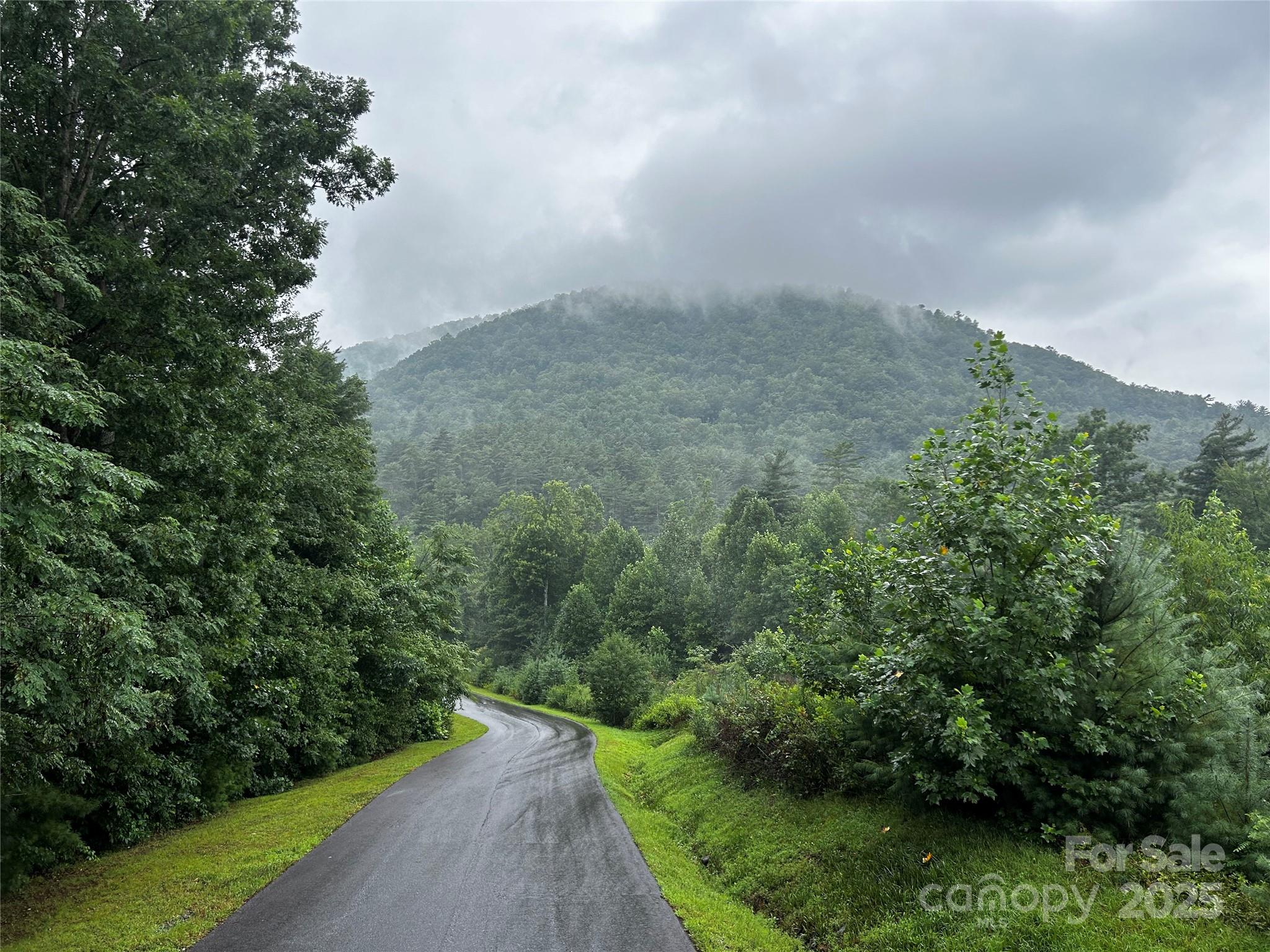 241(LOT 58) Peppervine Circle Rosman NC 28772