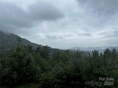 241(LOT 58) Peppervine Circle Rosman NC 28772