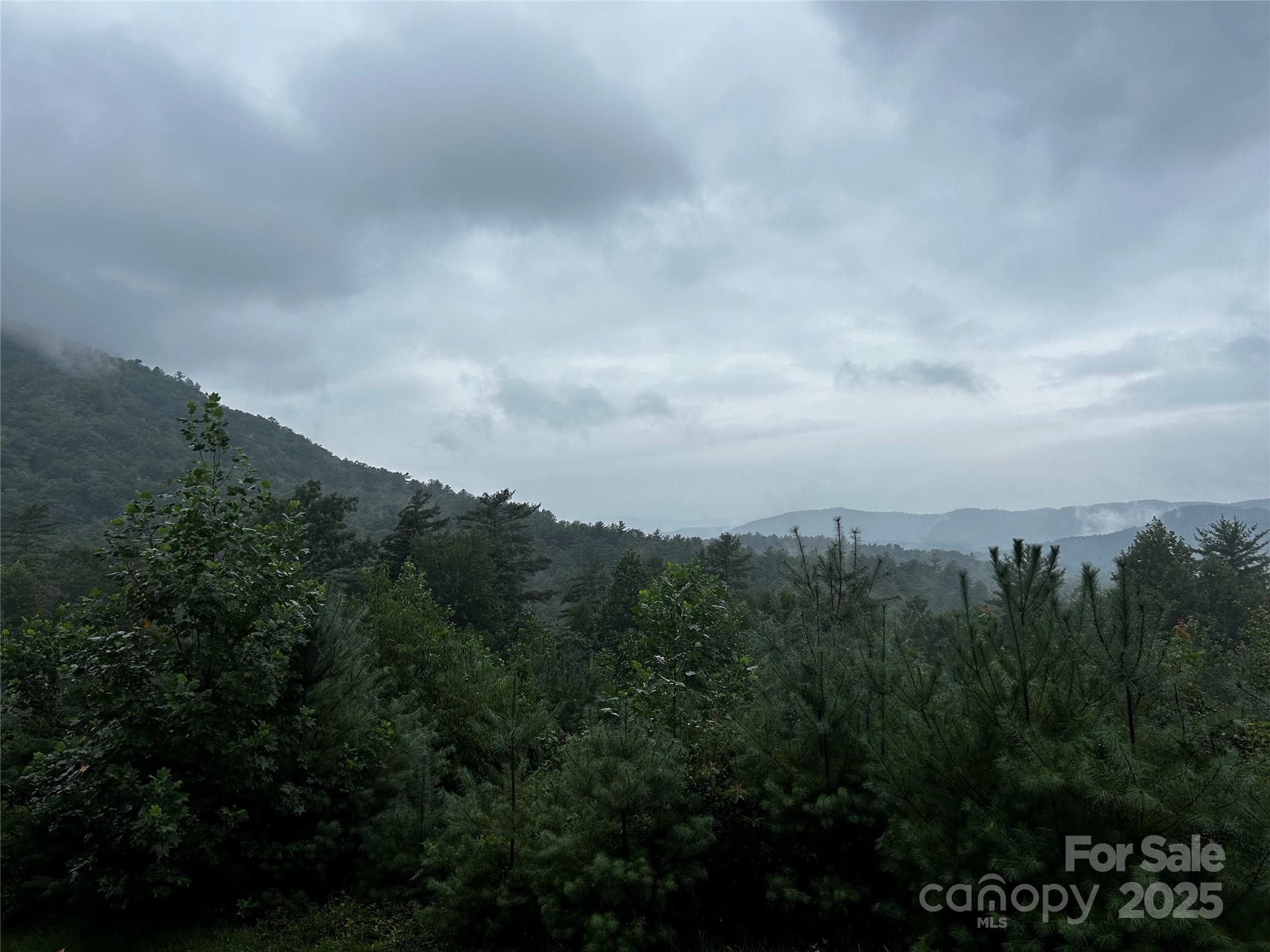 241(LOT 58) Peppervine Circle Rosman NC 28772