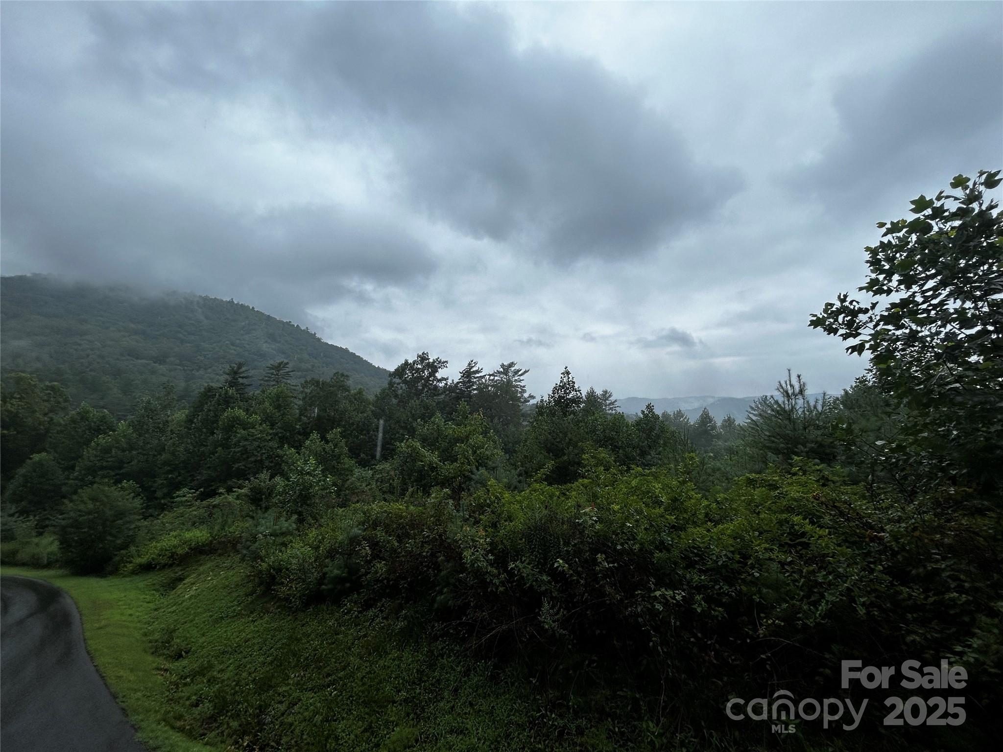 241(LOT 58) Peppervine Circle Rosman NC 28772