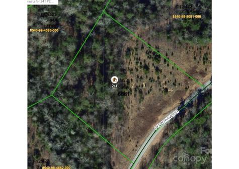 241(LOT 58) Peppervine Circle Rosman NC 28772