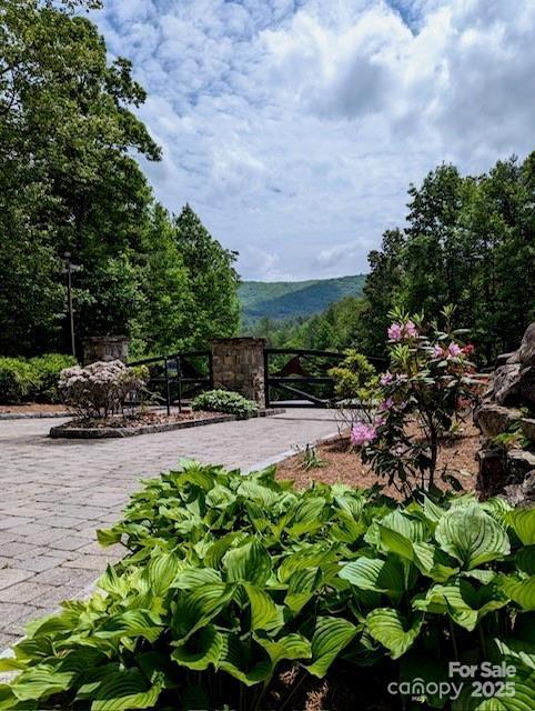 241(LOT 58) Peppervine Circle Rosman NC 28772