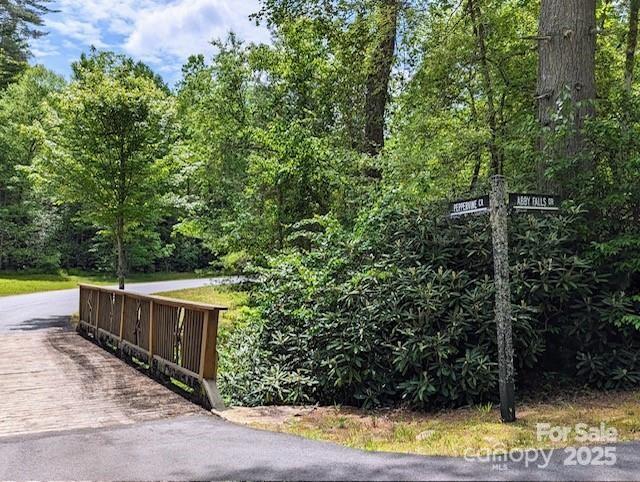 241(LOT 58) Peppervine Circle Rosman NC 28772