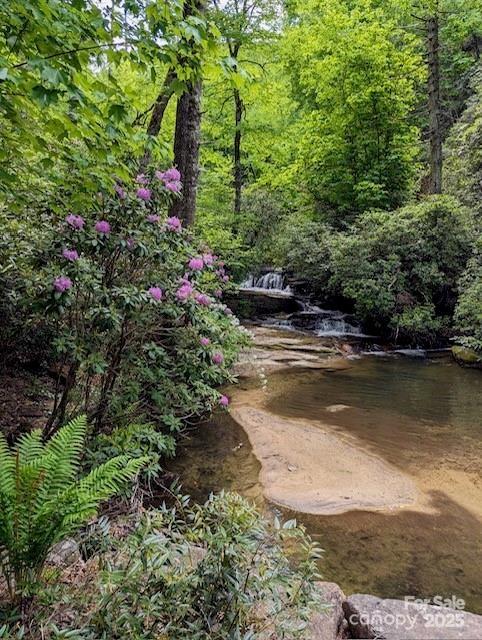 241(LOT 58) Peppervine Circle Rosman NC 28772