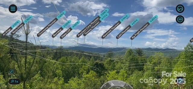 241(LOT 58) Peppervine Circle Rosman NC 28772