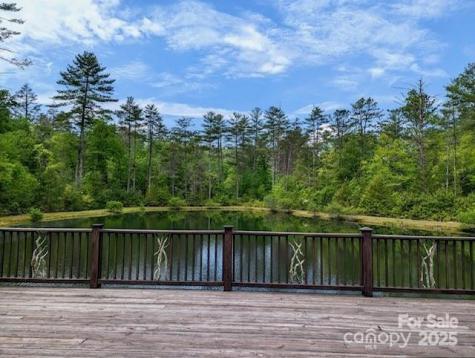 241(LOT 58) Peppervine Circle Rosman NC 28772