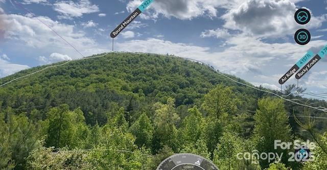 241(LOT 58) Peppervine Circle Rosman NC 28772