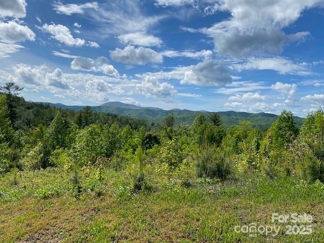 241(LOT 58) Peppervine Circle Rosman NC 28772