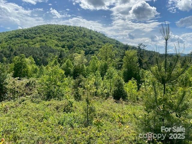 241(LOT 58) Peppervine Circle Rosman NC 28772