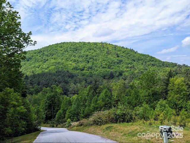 241(LOT 58) Peppervine Circle Rosman NC 28772