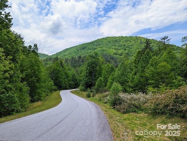 241(LOT 58) Peppervine Circle Rosman NC 28772
