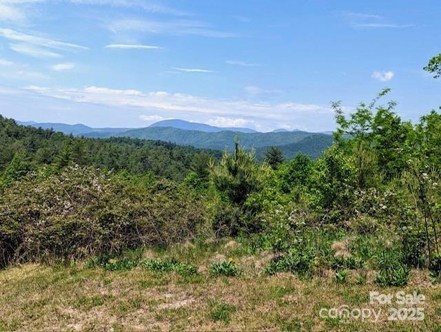 241(LOT 58) Peppervine Circle Rosman NC 28772