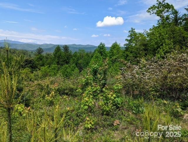 241(LOT 58) Peppervine Circle Rosman NC 28772