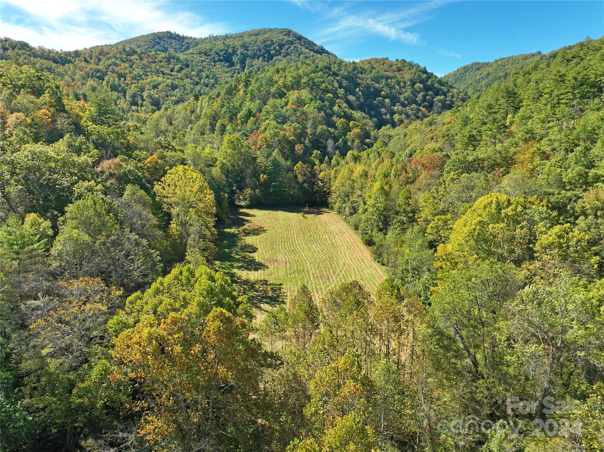 Tbd Nc 209 Highway Hot Springs NC 28743