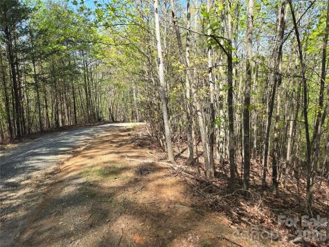 Lot 4 Hibiscus Court Lake Lure NC 28746