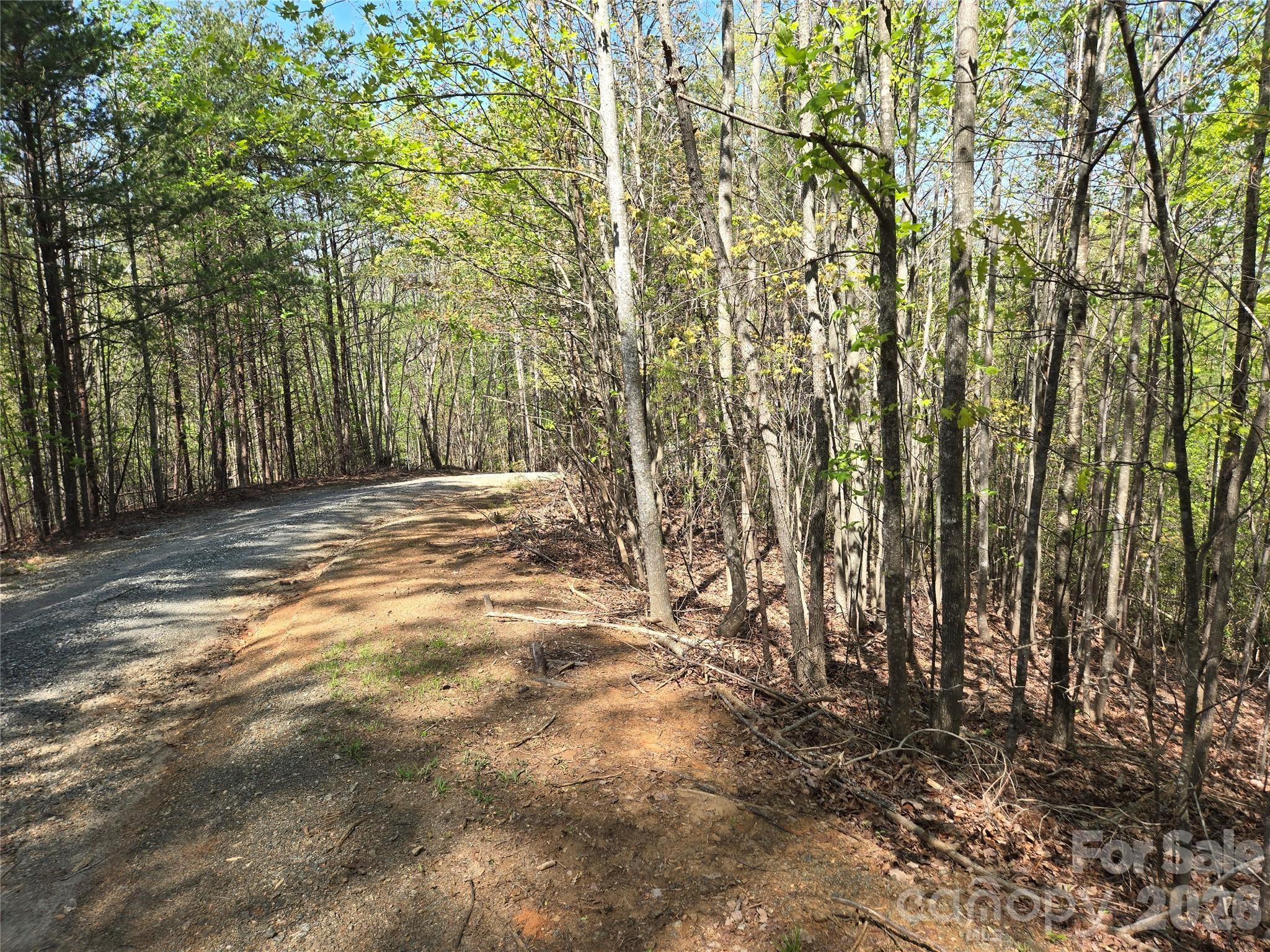 Lot 4 Hibiscus Court Lake Lure NC 28746