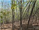 Lot 4 Hibiscus Court Lake Lure NC 28746