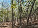 Lot 4 Hibiscus Court Lake Lure NC 28746