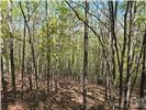 Lot 4 Hibiscus Court Lake Lure NC 28746