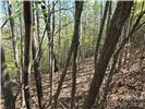 Lot 4 Hibiscus Court Lake Lure NC 28746