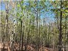 Lot 4 Hibiscus Court Lake Lure NC 28746