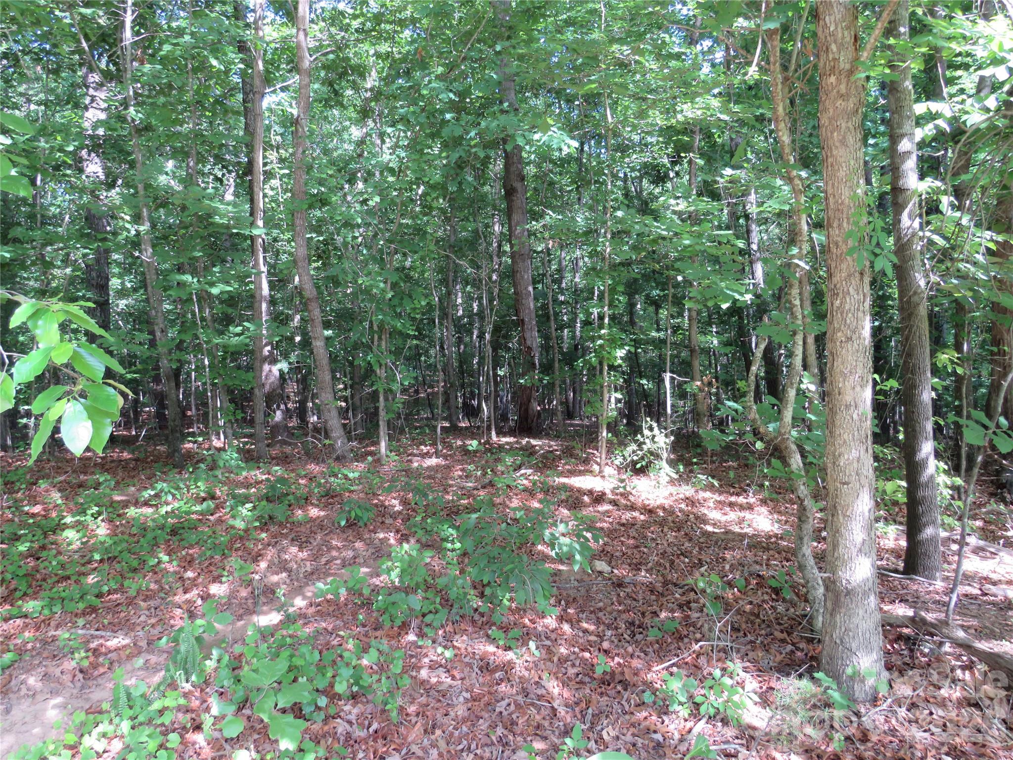0 S Woodleaf Road Forest City NC 28043
