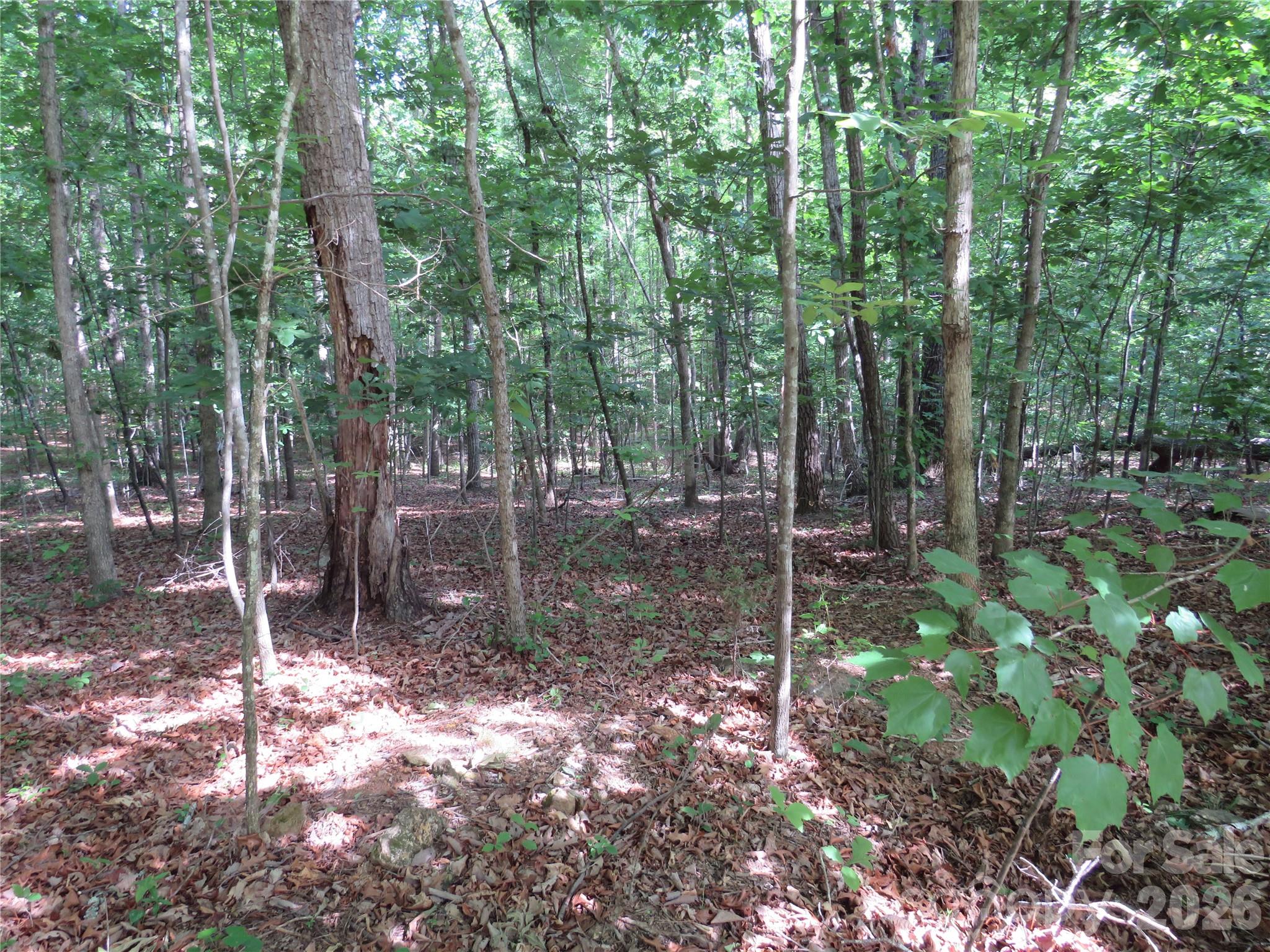0 S Woodleaf Road Forest City NC 28043