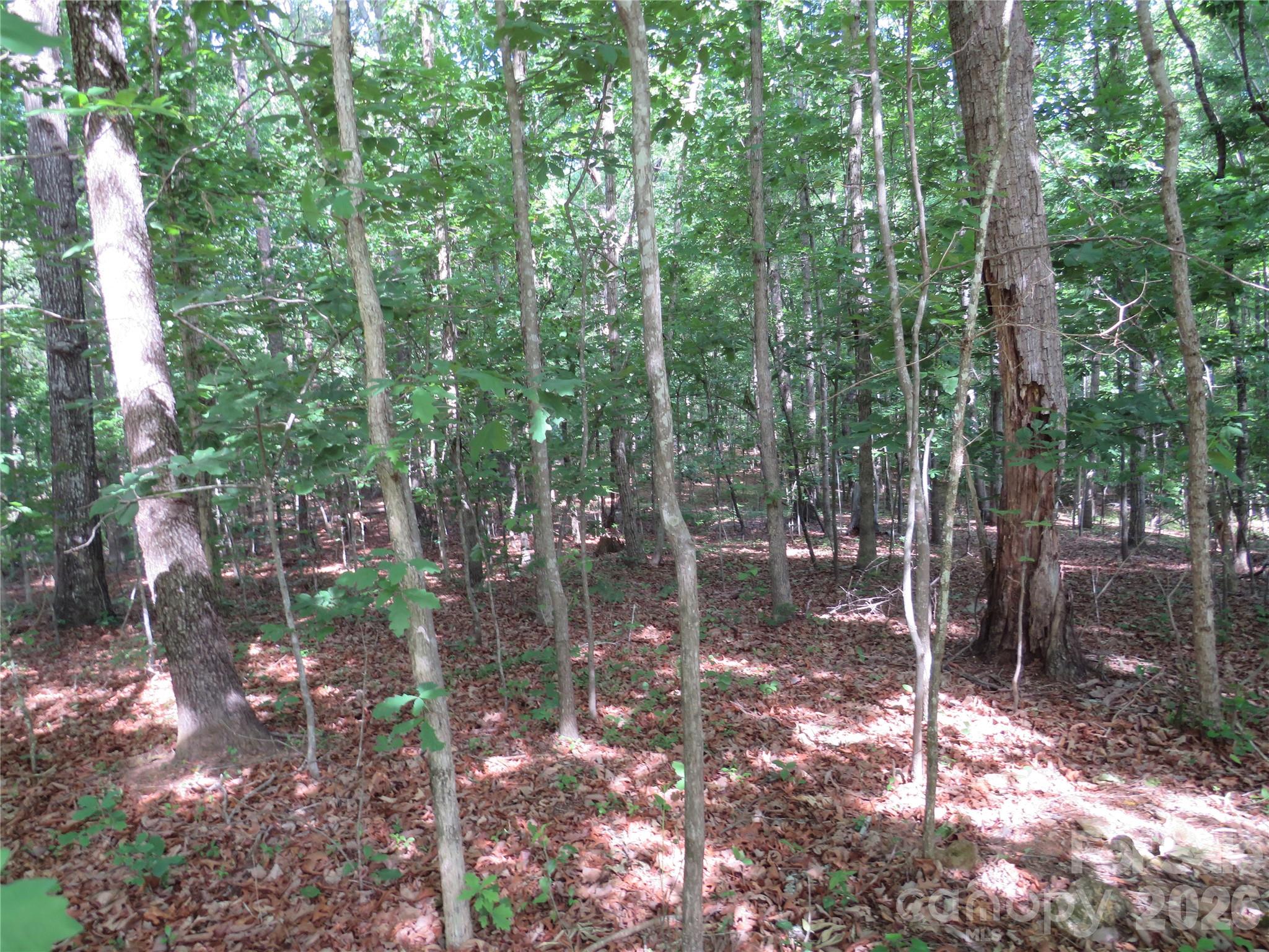 0 S Woodleaf Road Forest City NC 28043