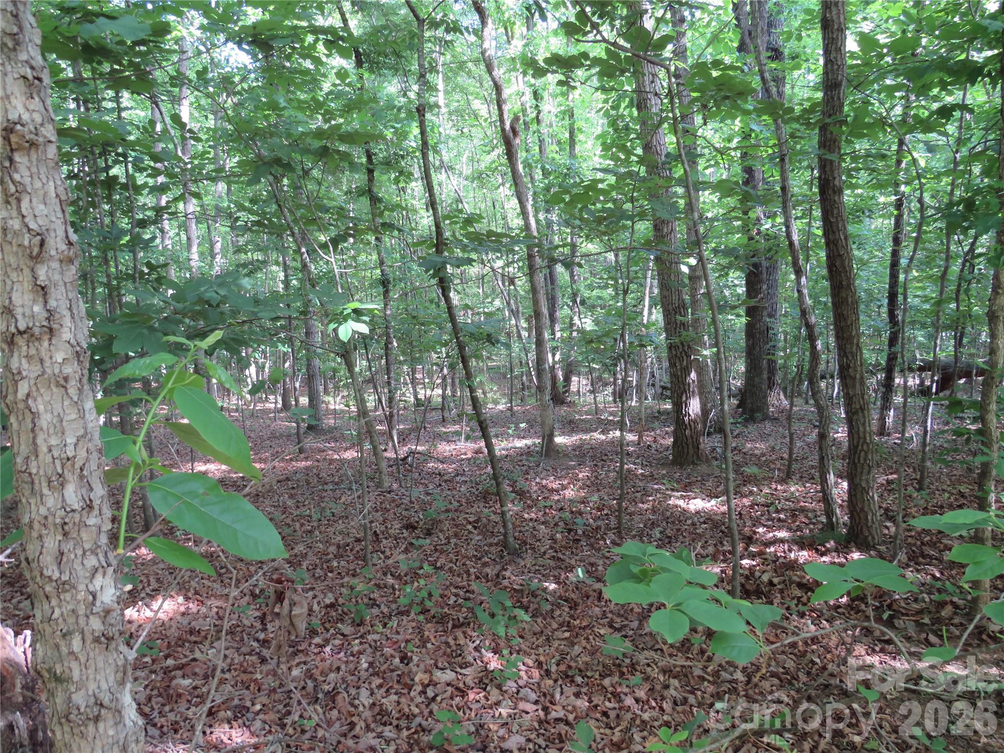 0 S Woodleaf Road Forest City NC 28043