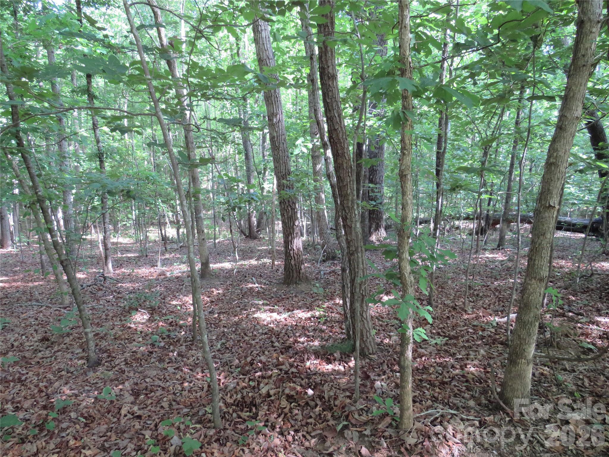 0 S Woodleaf Road Forest City NC 28043