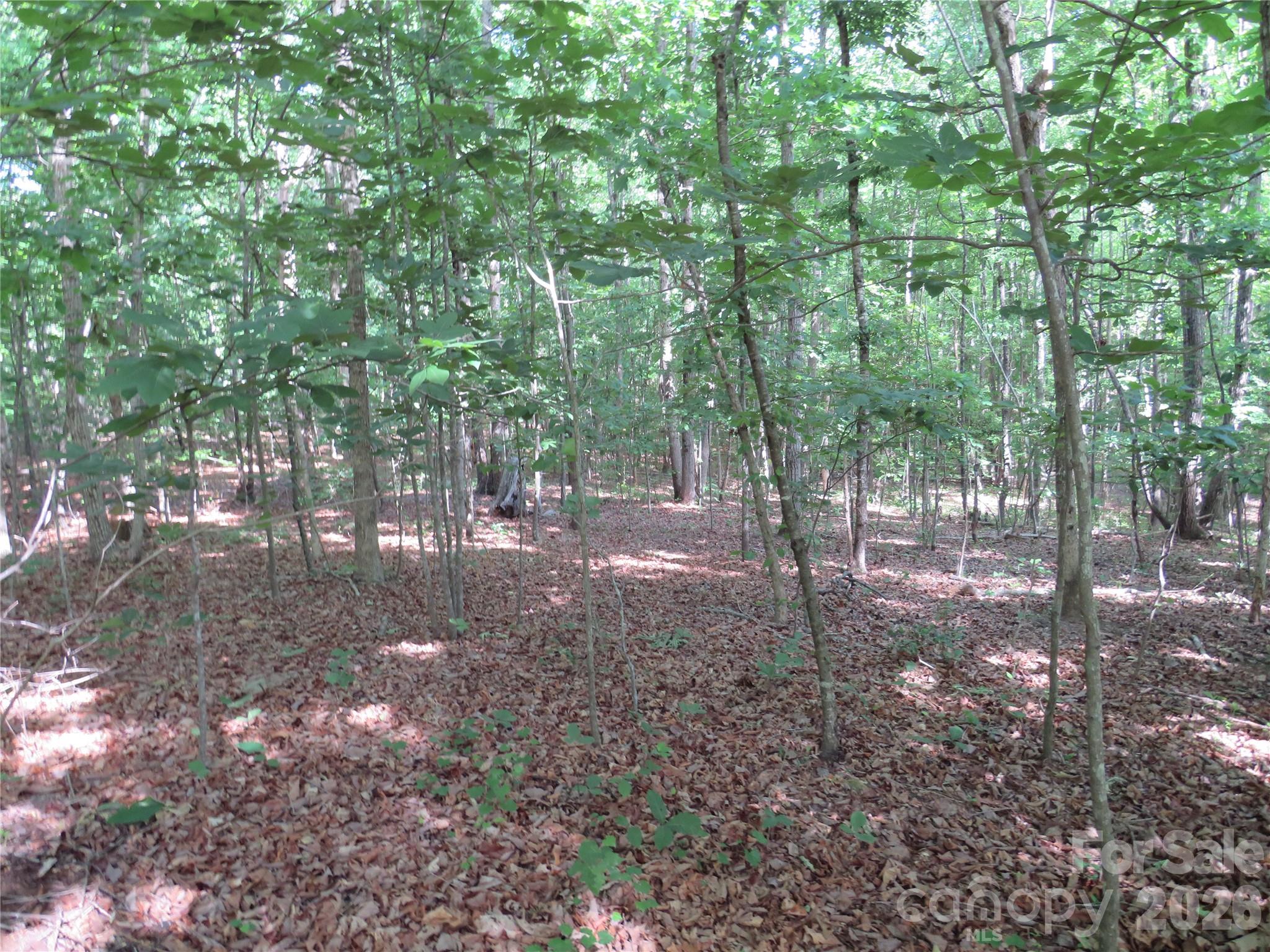 0 S Woodleaf Road Forest City NC 28043