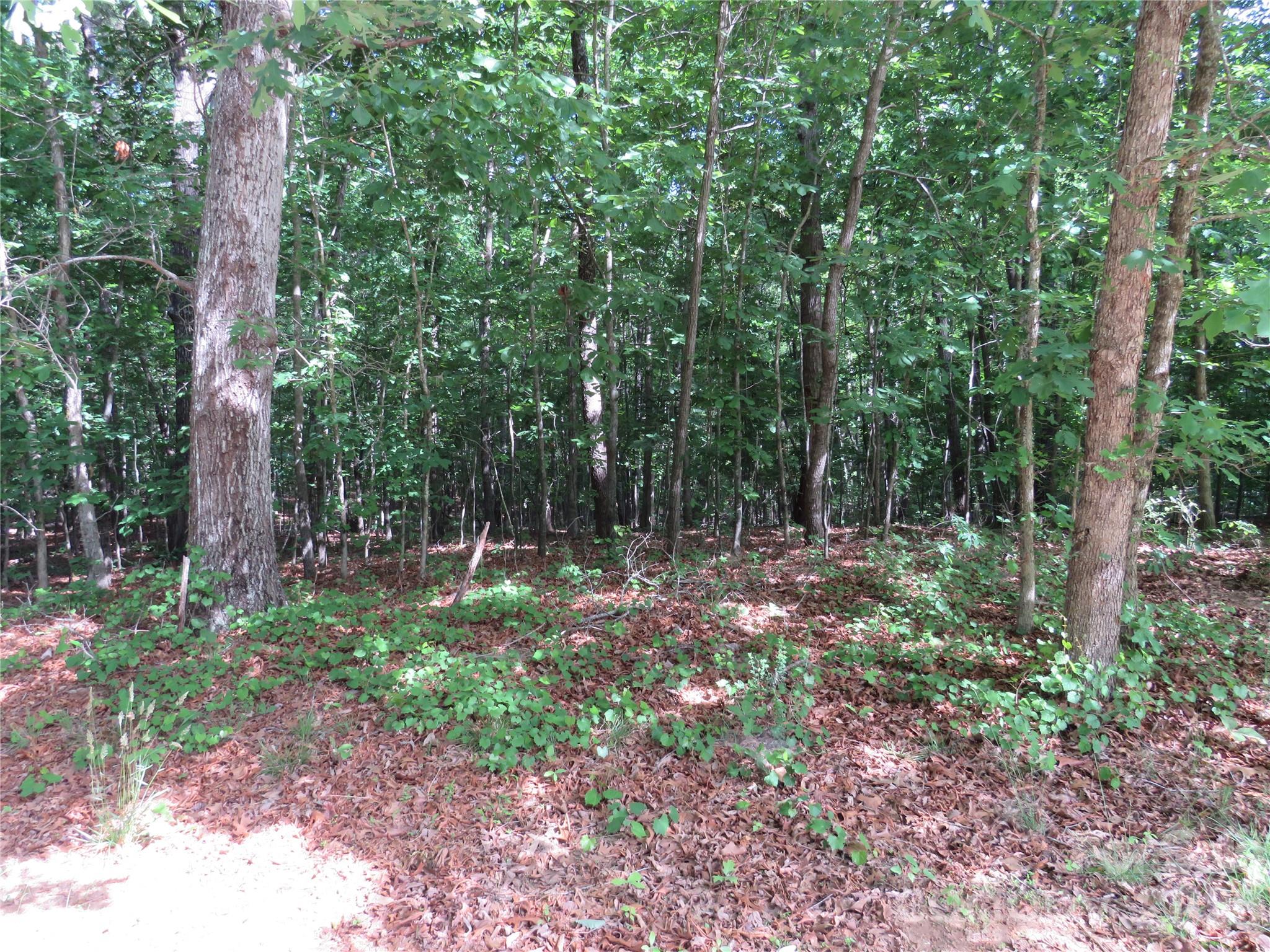 0 S Woodleaf Road Forest City NC 28043