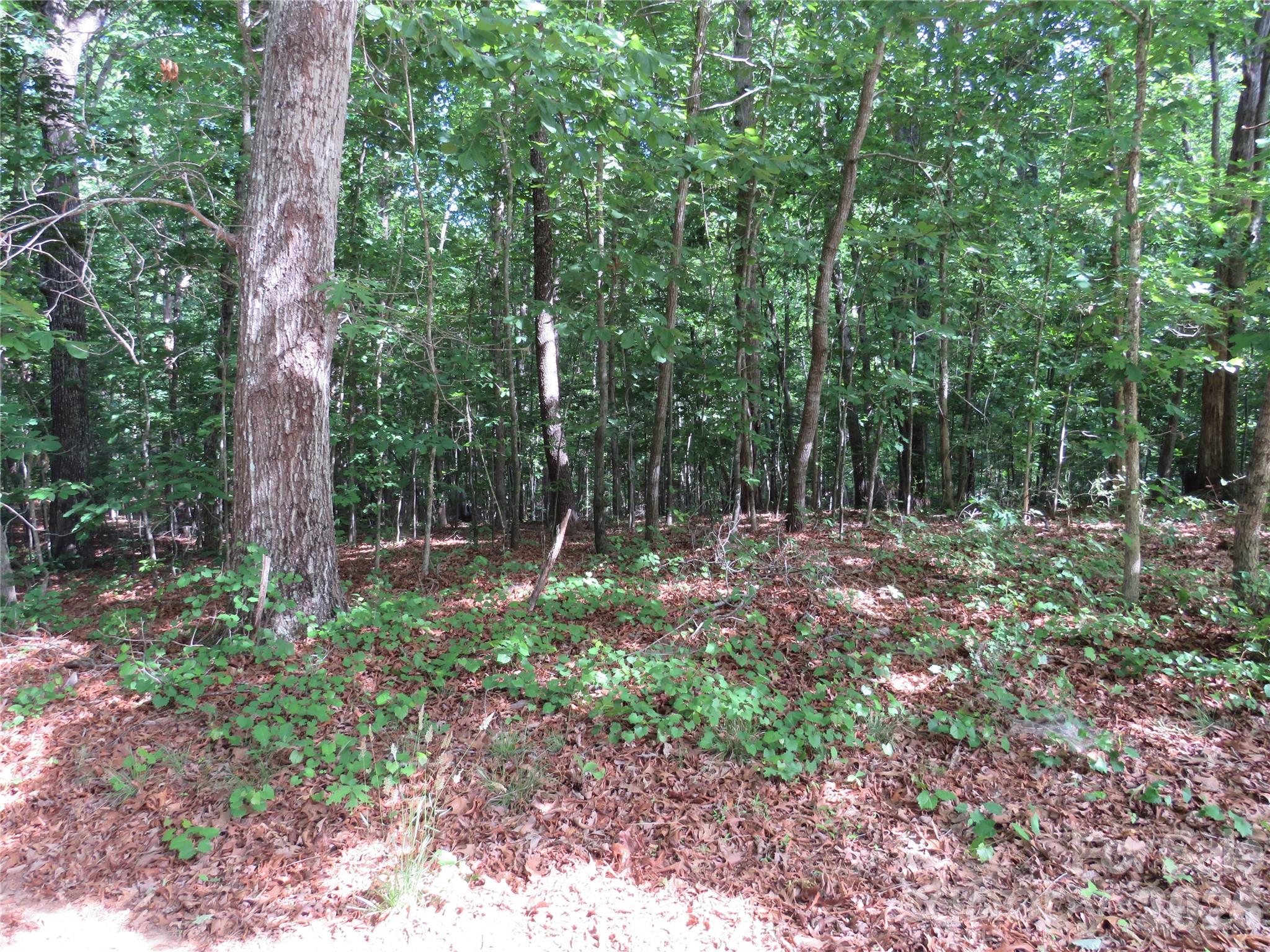 0 S Woodleaf Road Forest City NC 28043