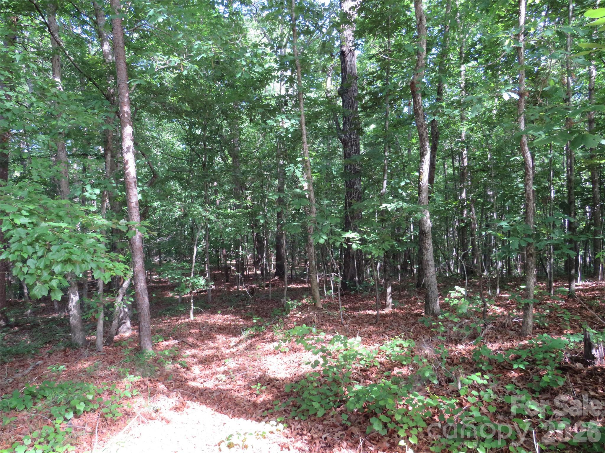 0 S Woodleaf Road Forest City NC 28043