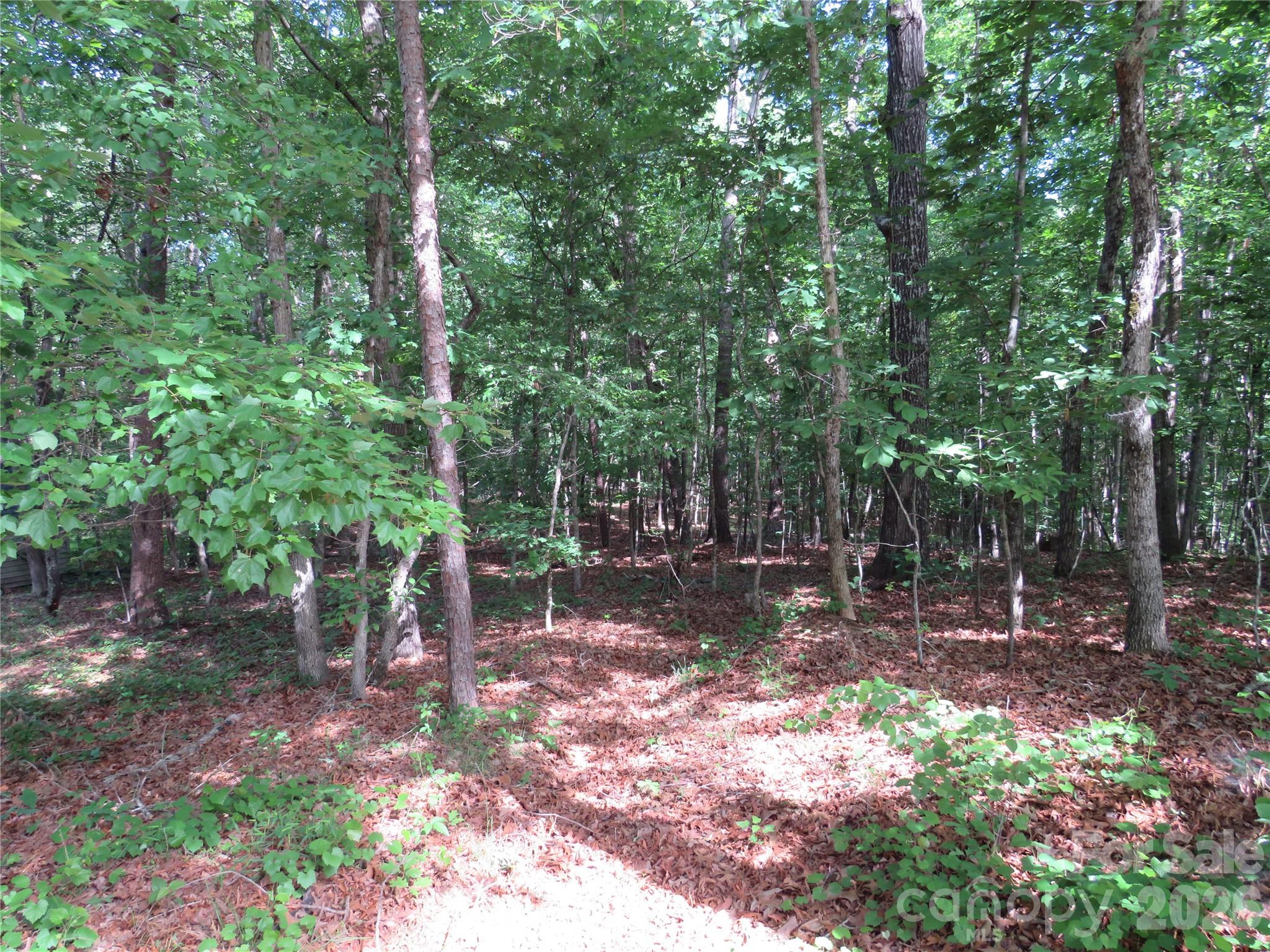 0 S Woodleaf Road Forest City NC 28043