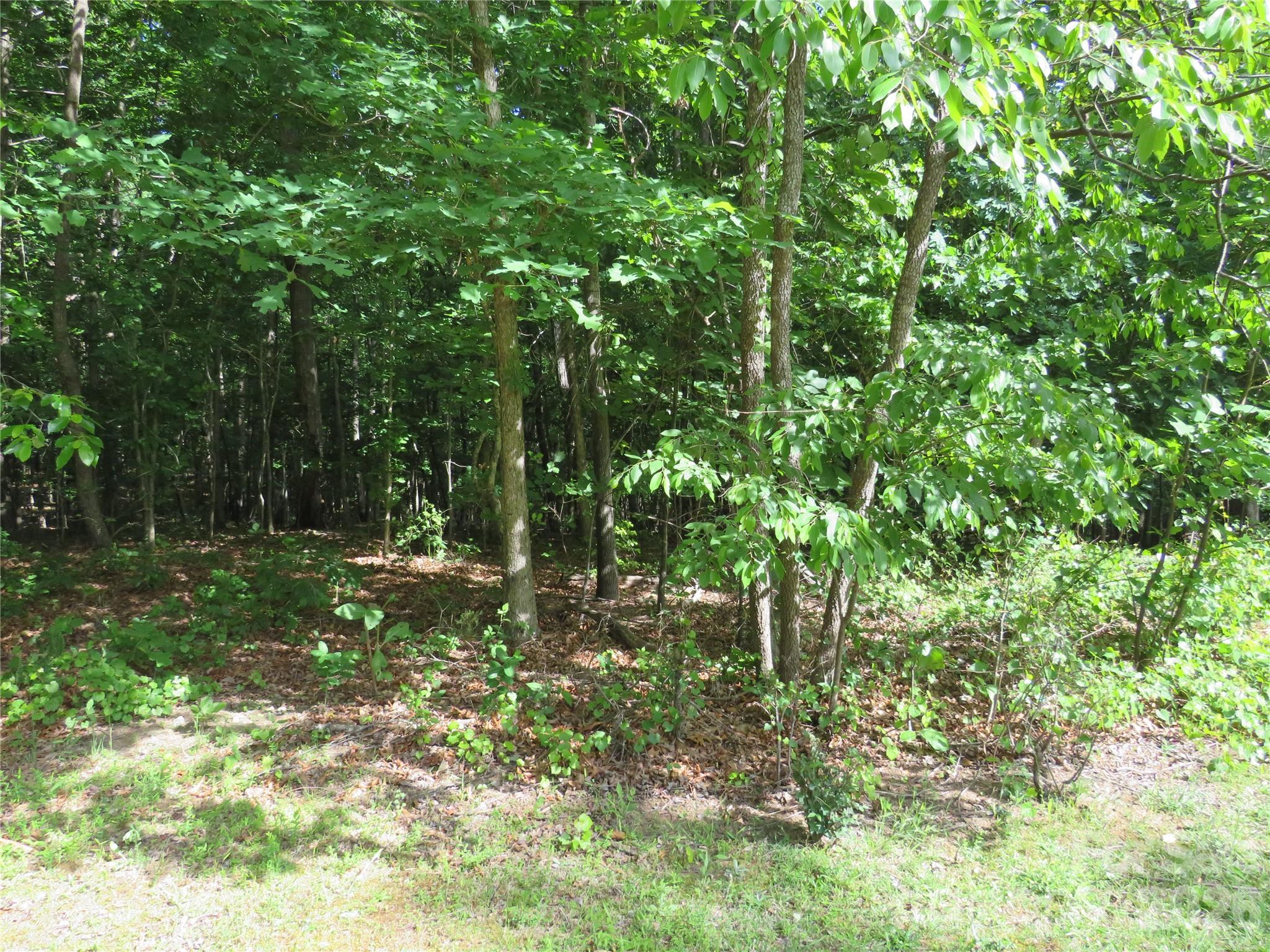 0 S Woodleaf Road Forest City NC 28043