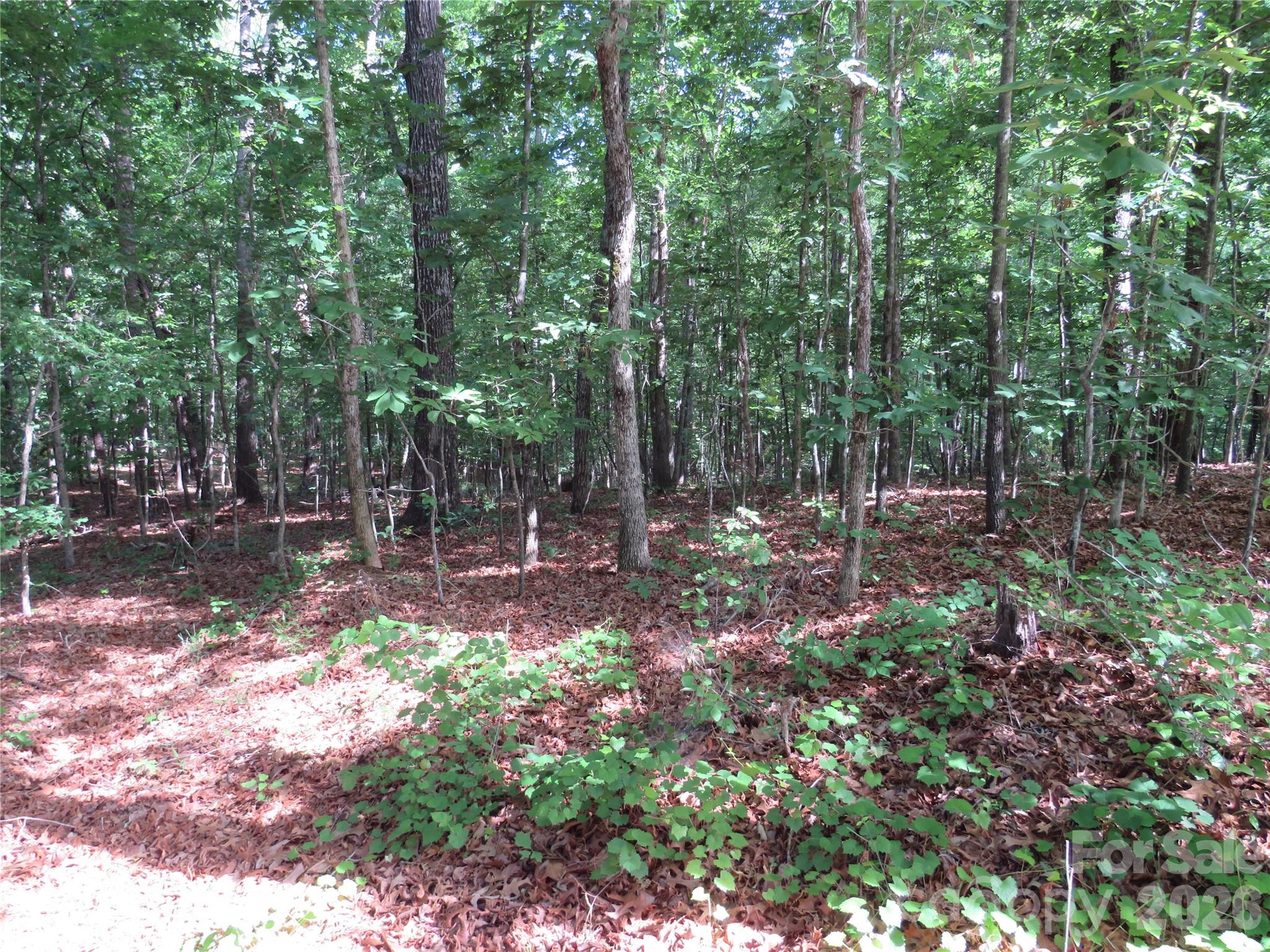 0 S Woodleaf Road Forest City NC 28043