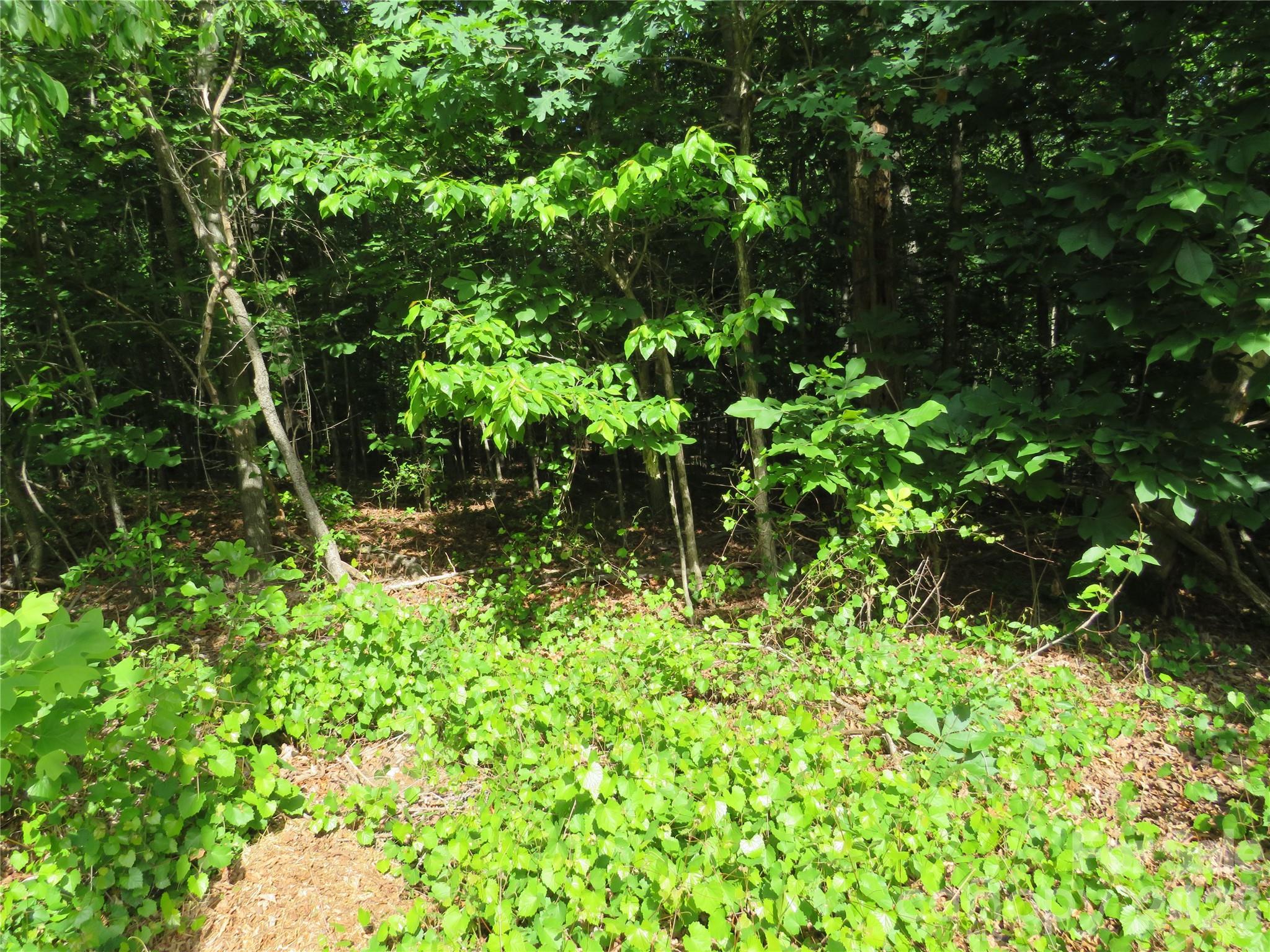 0 S Woodleaf Road Forest City NC 28043