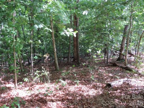 0 S Woodleaf Road Forest City NC 28043