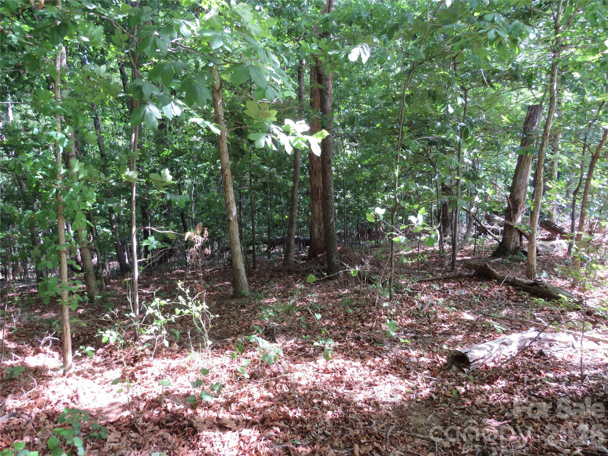 0 S Woodleaf Road Forest City NC 28043