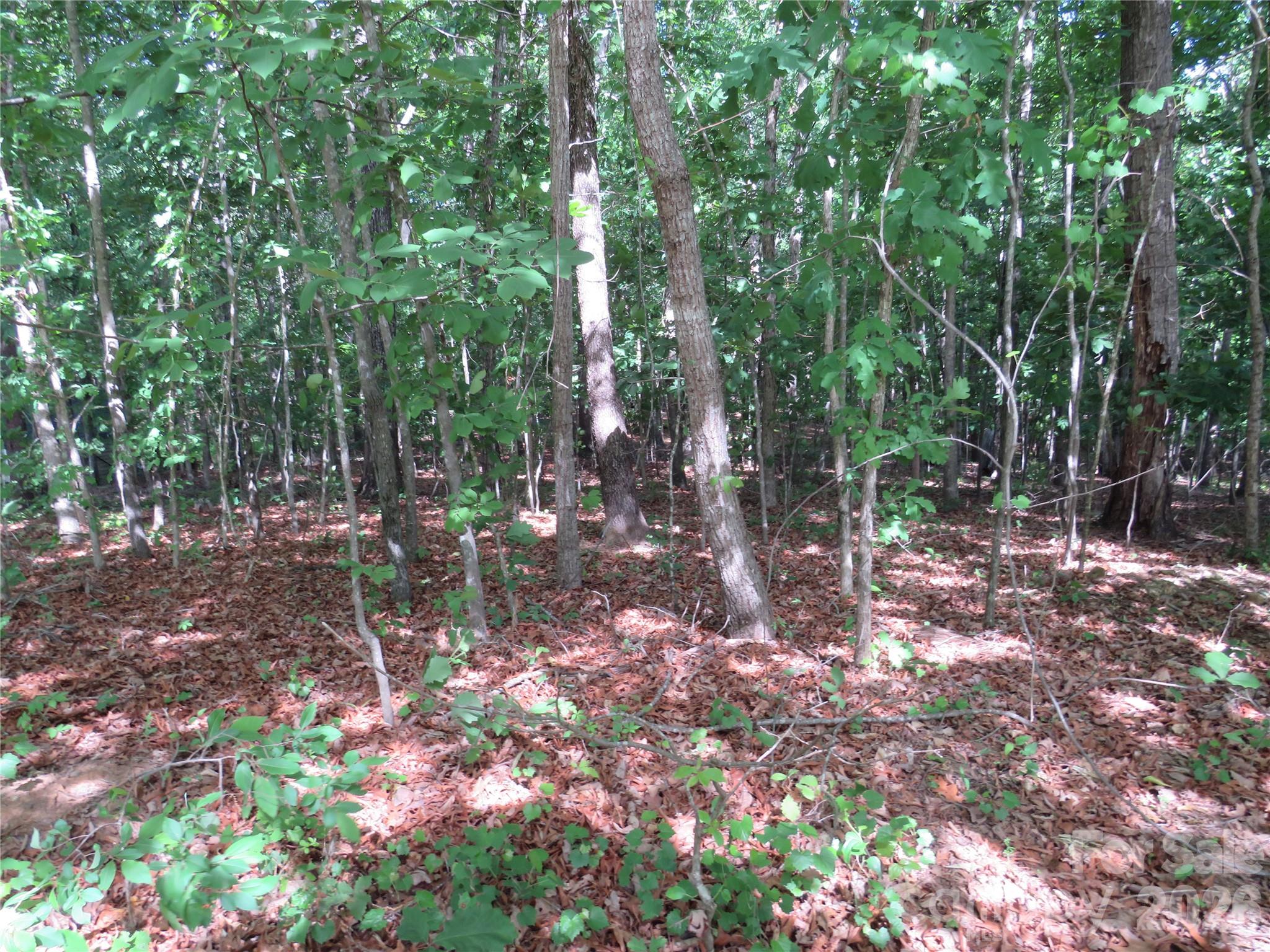 0 S Woodleaf Road Forest City NC 28043