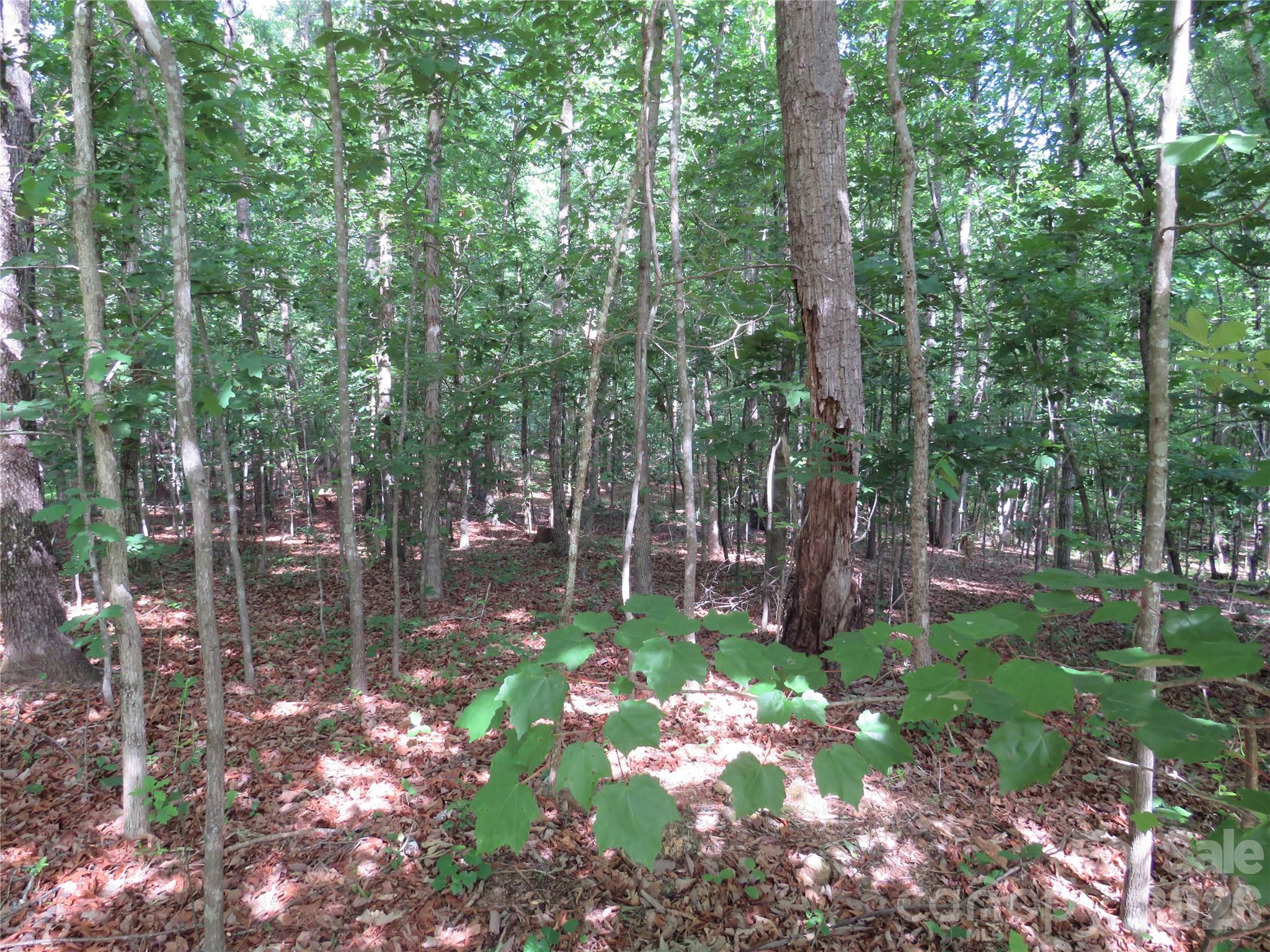 0 S Woodleaf Road Forest City NC 28043