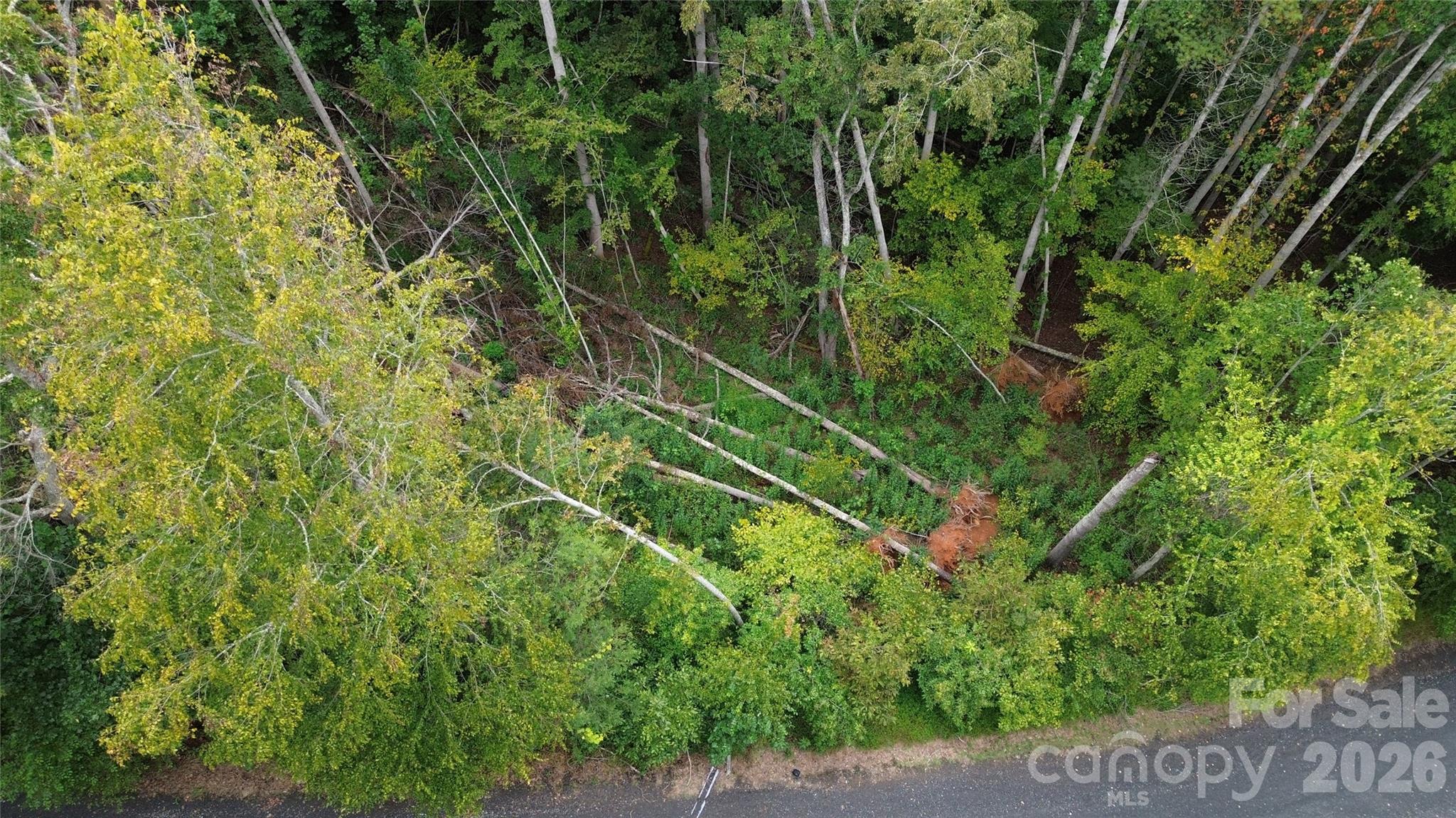 0000 High Peak Drive Burnsville NC 28740