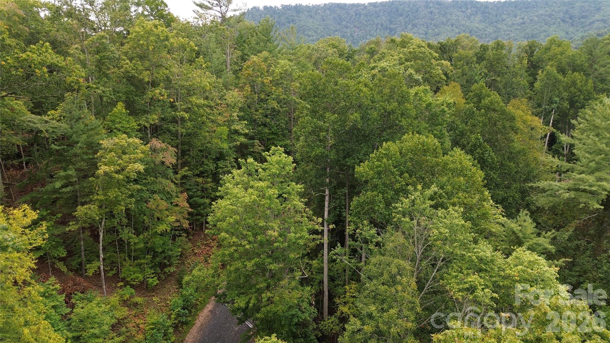 0000 High Peak Drive Burnsville NC 28740