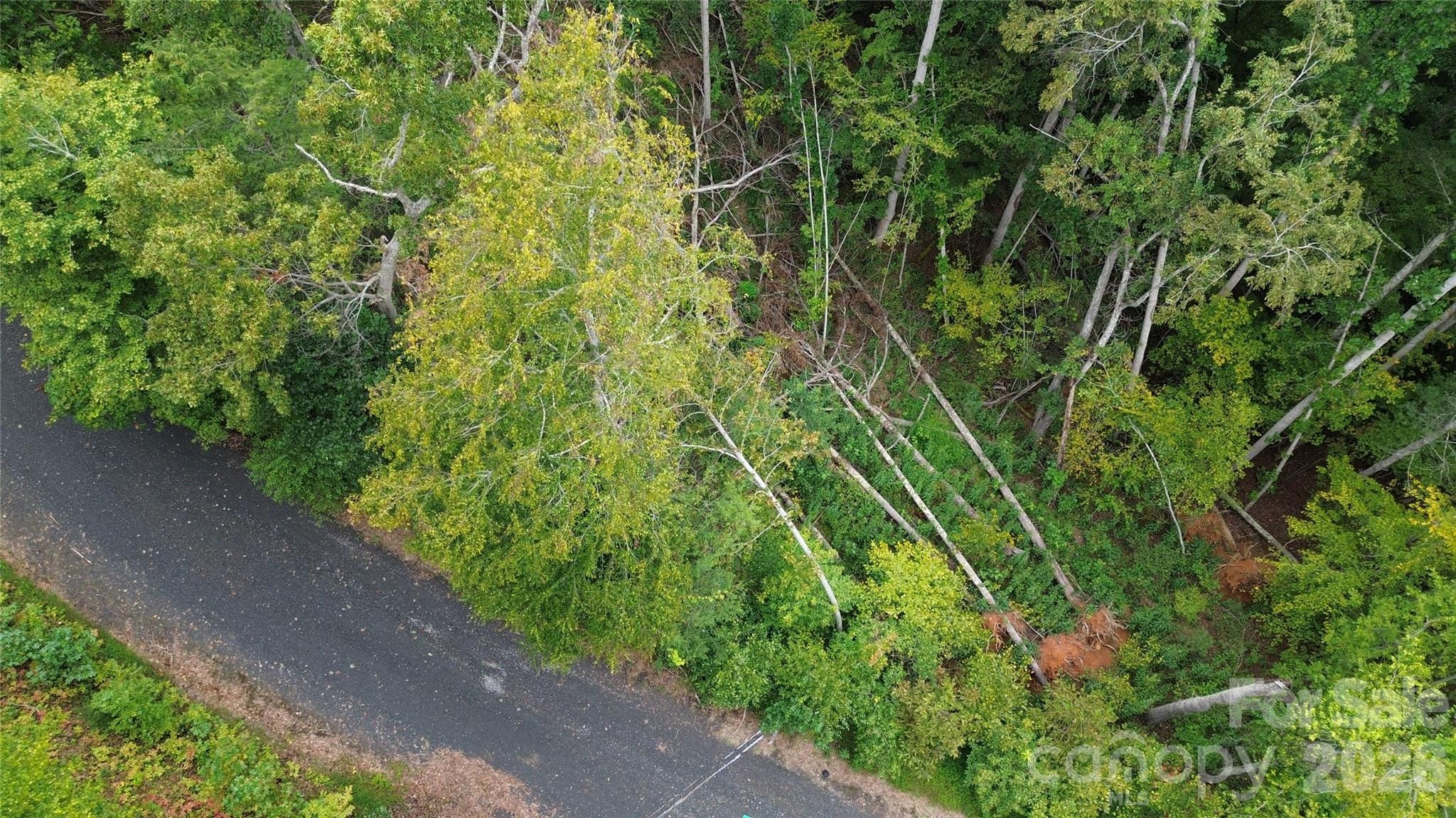 0000 High Peak Drive Burnsville NC 28740