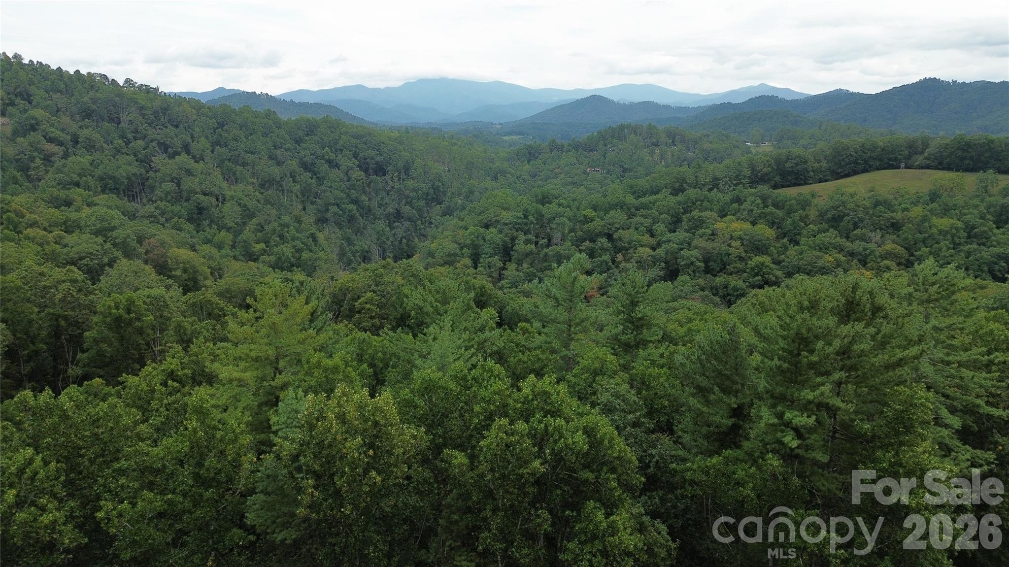0000 High Peak Drive Burnsville NC 28740