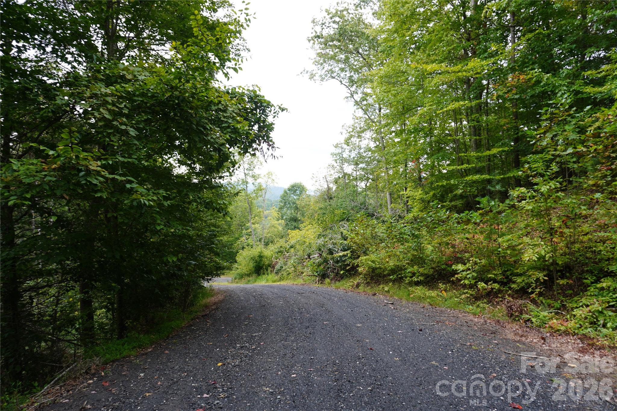 0000 High Peak Drive Burnsville NC 28740
