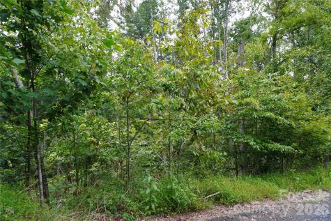 0000 High Peak Drive Burnsville NC 28740