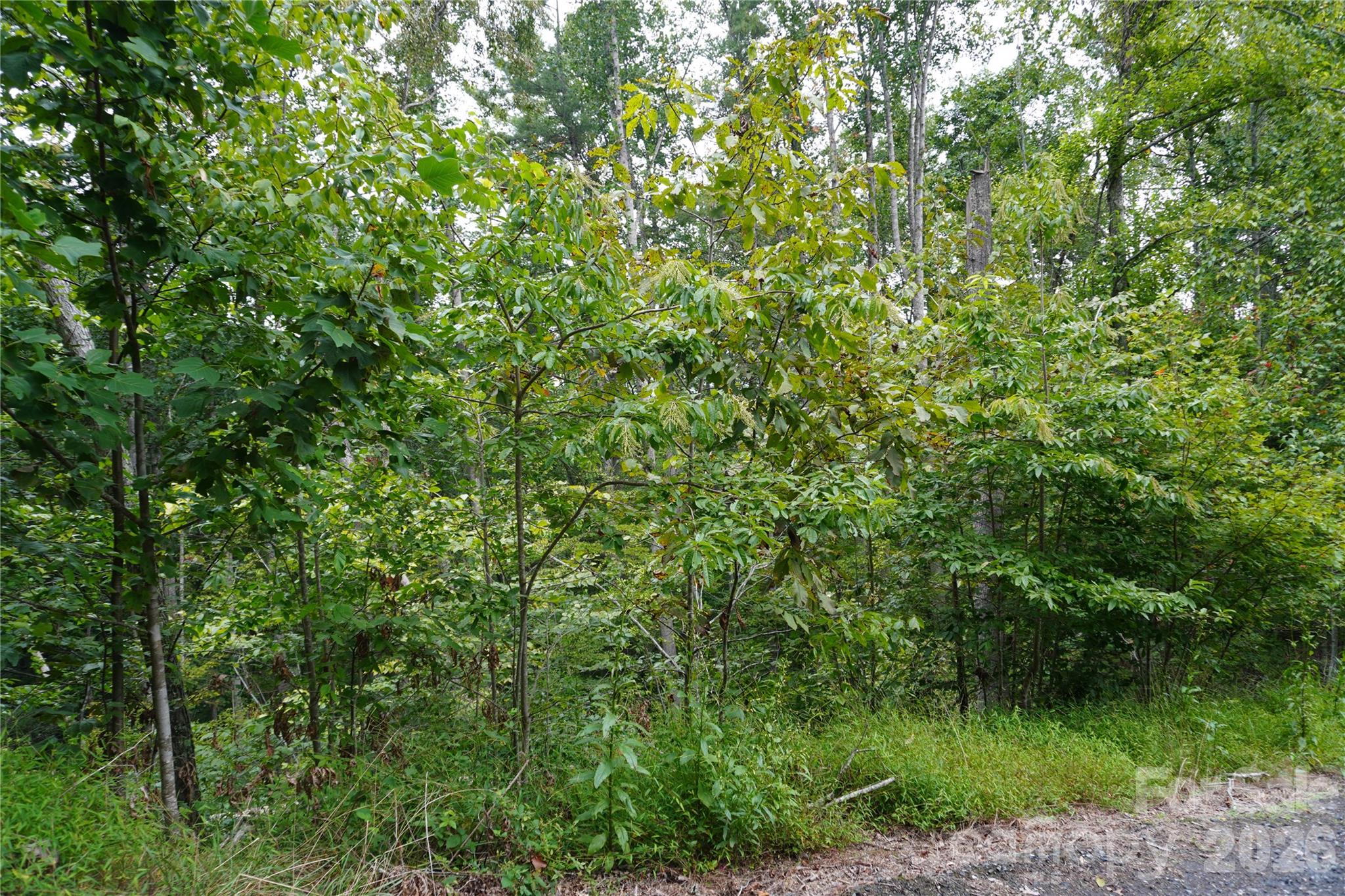 0000 High Peak Drive Burnsville NC 28740